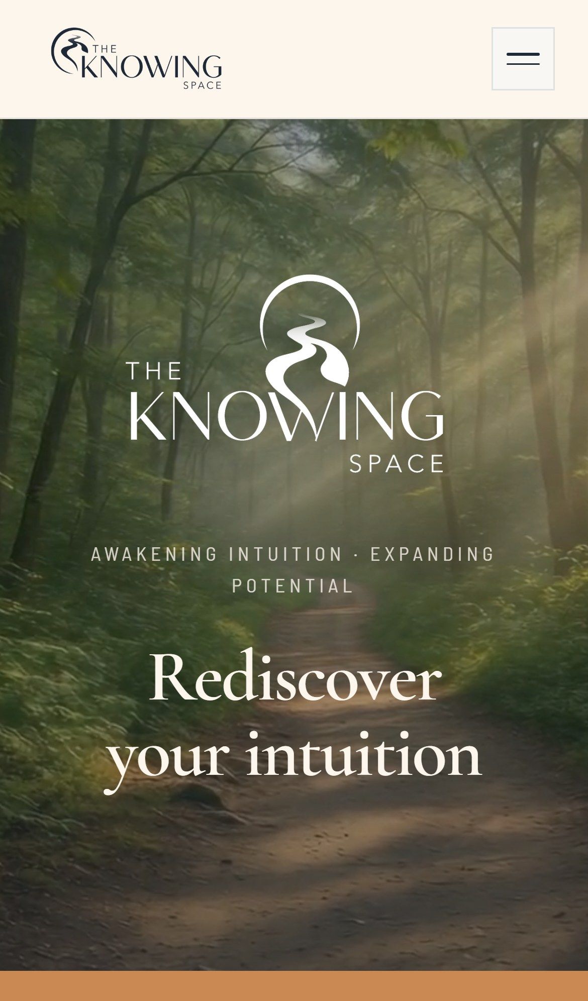 La web de The Knowing Space vista en móvil