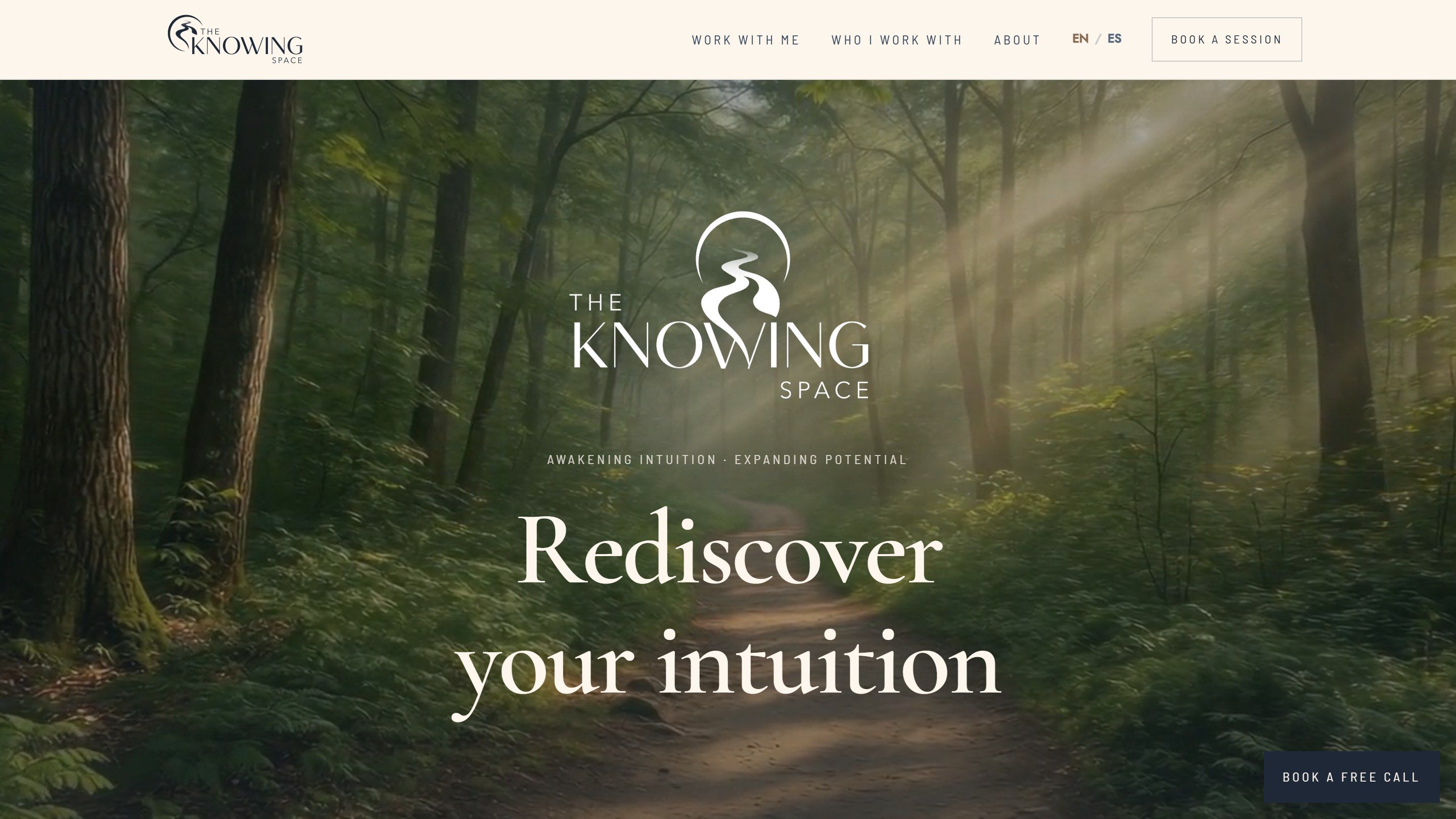 Inicio de la web de The Knowing Space